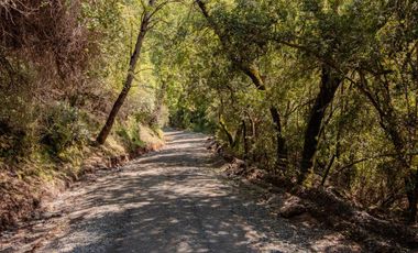 Se venden parcelas en Potrero Grande, sector Las Buitreras, Curicó