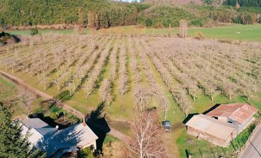 Se venden parcelas en Potrero Grande, sector Las Buitreras, Curicó