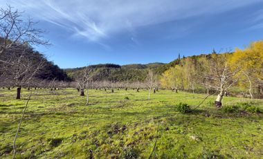 Se venden parcelas en Potrero Grande, sector Las Buitreras, Curicó
