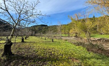 Se venden parcelas en Potrero Grande, sector Las Buitreras, Curicó