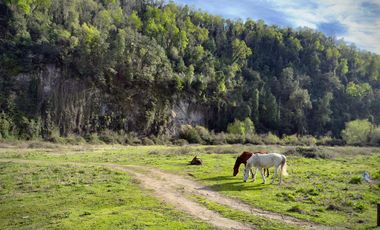 Se venden parcelas en Potrero Grande, sector Las Buitreras, Curicó