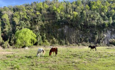 Se venden parcelas en Potrero Grande, sector Las Buitreras, Curicó