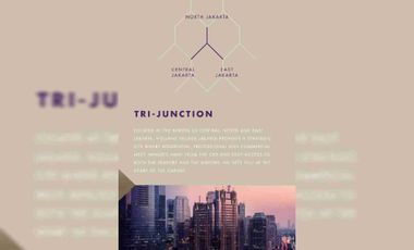 HOLLAND VILLAGE APARTEMEN PET FRIENDLY CEMPAKA PUTIH JAKARTA PUSAT