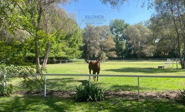 Rancho en venta en Tepeji del Río Hgo. Señorial Privilegiado, casa estilo mediterránea, 3 pozos, caballerizas y Bella ecología.