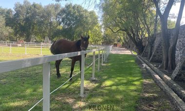 Rancho en venta en Tepeji del Río Hgo. Señorial Privilegiado, casa estilo mediterránea, 3 pozos, caballerizas y Bella ecología.