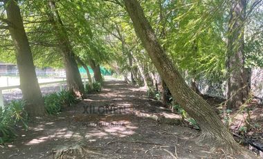 Rancho en venta en Tepeji del Río Hgo. Señorial Privilegiado, casa estilo mediterránea, 3 pozos, caballerizas y Bella ecología.