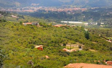 VENDO CASA 200 M2  CON LOTE DE 3200 M2 EN VILLA DE LEYVA BOYACA