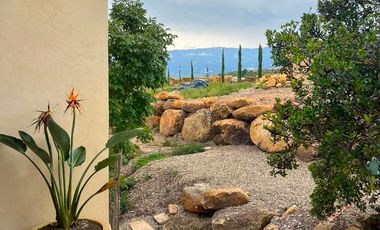 VENDO CASA 200 M2  CON LOTE DE 3200 M2 EN VILLA DE LEYVA BOYACA