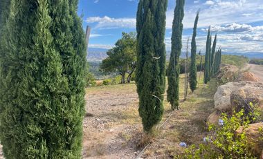 VENDO CASA 200 M2  CON LOTE DE 3200 M2 EN VILLA DE LEYVA BOYACA