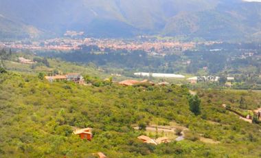 VENDO CASA 200 M2  CON LOTE DE 3200 M2 EN VILLA DE LEYVA BOYACA