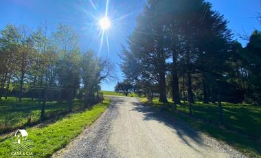 Arriendo casa camino Alerce Puerto Varas