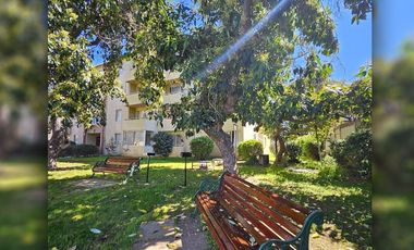 Se arrienda departamento en tercer piso, Condominio Simón Álamo, Quillota.