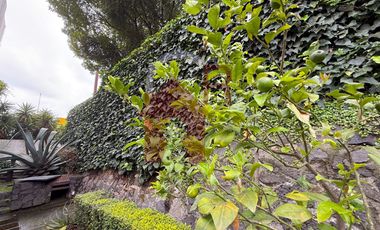 Venta Casa en Fraccionamiento Cerrado CCTV