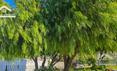 🏡 HERMOSA CASA EN EL CENTRO DE SAN JUAN TILCUAUTLA A 10 MINUTOS DE PACHUCA