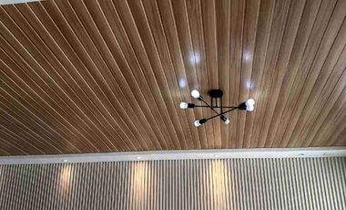 Newly renovated high ceiling bungalow for sale