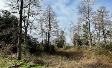 PARCELA DE 6.300 M2 EN LA COMUNA DE RÍO BUENO