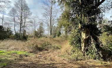 PARCELA DE 6.300 M2 EN LA COMUNA DE RÍO BUENO