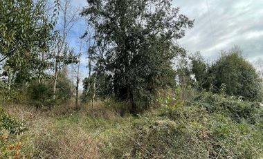 PARCELA DE 6.300 M2 EN LA COMUNA DE RÍO BUENO