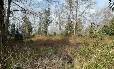 PARCELA DE 6.300 M2 EN LA COMUNA DE RÍO BUENO