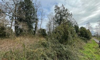 PARCELA DE 6.300 M2 EN LA COMUNA DE RÍO BUENO