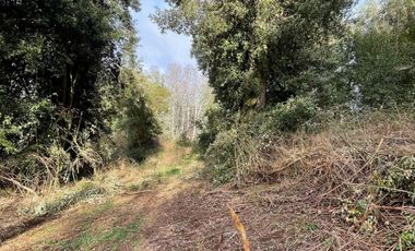 PARCELA DE 6.300 M2 EN LA COMUNA DE RÍO BUENO