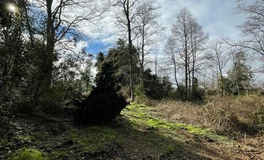 PARCELA DE 6.300 M2 EN LA COMUNA DE RÍO BUENO