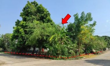 ทรัพย์ บสส. รหัส 3A2299 บ้านเดี่ยว ร้อยเอ็ด