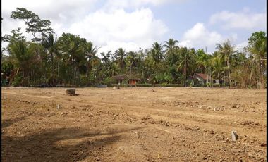 Tanah Yogya, Jl. Setran Moyudan Tanah Barat SMP Negeri 2 Moyudan