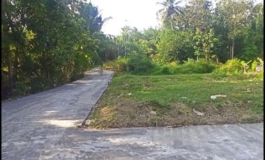 Jl. Gotakan Dijual Tanah Jogja SHM Lokasi Kulon Progo