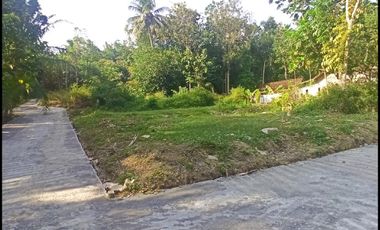 Jl. Gotakan Dijual Tanah Jogja SHM Lokasi Kulon Progo