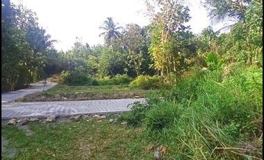 Jl. Gotakan Dijual Tanah Jogja SHM Lokasi Kulon Progo