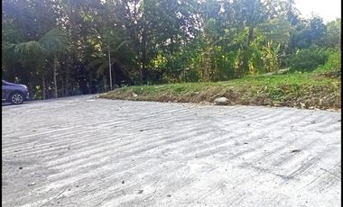 Jl. Gotakan Dijual Tanah Jogja SHM Lokasi Kulon Progo