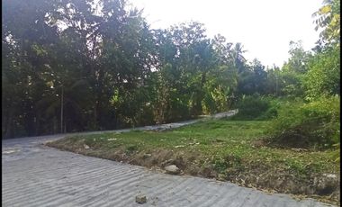 Jl. Gotakan Dijual Tanah Jogja SHM Lokasi Kulon Progo