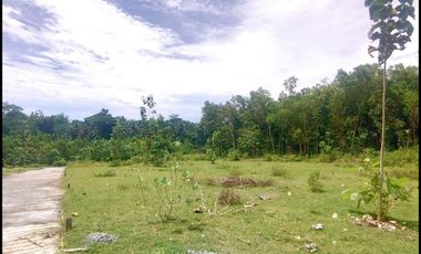 Jl. Gotakan Panjatan Jual Tanah Jogja SHM Untuk Investasi