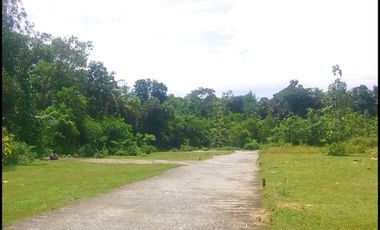 Jl. Gotakan Panjatan Jual Tanah Jogja SHM Untuk Investasi