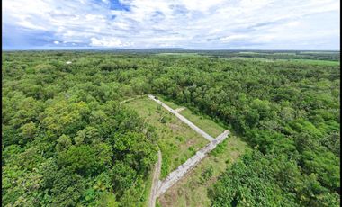 Jl. Gotakan Panjatan Jual Tanah Jogja SHM Untuk Investasi