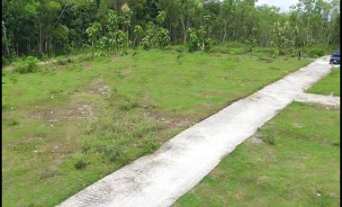 Jl. Gotakan Panjatan Jual Tanah Jogja SHM Untuk Investasi