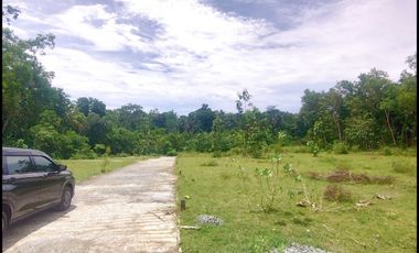 Jl. Gotakan Panjatan Jual Tanah Jogja SHM Untuk Investasi