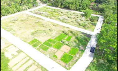 Temon Kulon Progo Tanah Jogja Murah Sertifikat SHM Dekat Bandara YIA