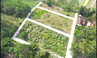 Temon Kulon Progo Tanah Jogja Murah Sertifikat SHM Dekat Bandara YIA