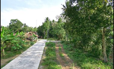 Temon Kulon Progo Tanah Jogja Murah Sertifikat SHM Dekat Bandara YIA