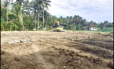 Dijual Tanah Kulur Kulon Progo Dekat Bandara YIA