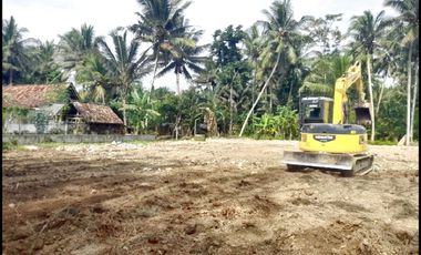 Dijual Tanah Kulur Kulon Progo Dekat Bandara YIA