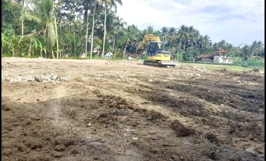 Dijual Tanah Kulur Kulon Progo Dekat Bandara YIA