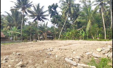 Dijual Tanah Kulur Kulon Progo Dekat Bandara YIA