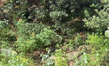 VENTA TERRENO TEPOTZOTLÁN CAÑADA REAL EDO DE MÉXICO