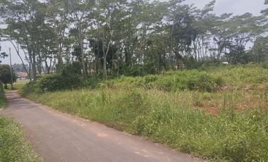 Tanah siap bangun, murah di Tegalsari Kandeman, luas 170 atau 140 m2, hanya 700 ribu/meter, dekat Pantura, Pintu Toll dan Alun2 Batang