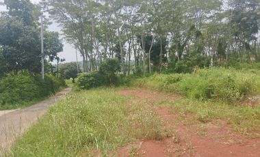 Tanah siap bangun, murah di Tegalsari Kandeman, luas 170 atau 140 m2, hanya 700 ribu/meter, dekat Pantura, Pintu Toll dan Alun2 Batang