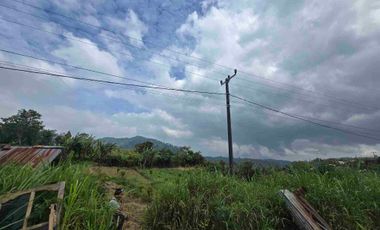 Dijual tanah kecil di.lingkungan villa kintamani bali