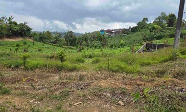 Dijual tanah kecil di.lingkungan villa kintamani bali